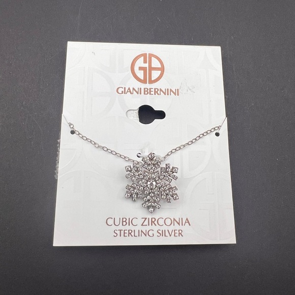 Amazon.com: Giani Bernini Cubic Zirconia Halo Pendant  Giani Bernini Sterling Silver Cubic Zirconia Necklace